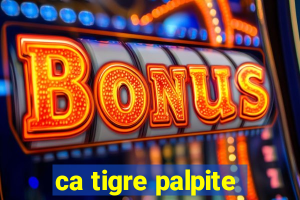 ca tigre palpite